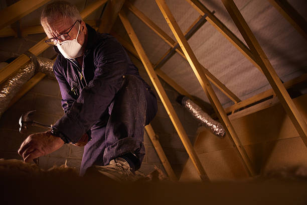 Best Specialized Insulation Services in Rock Hill, SC